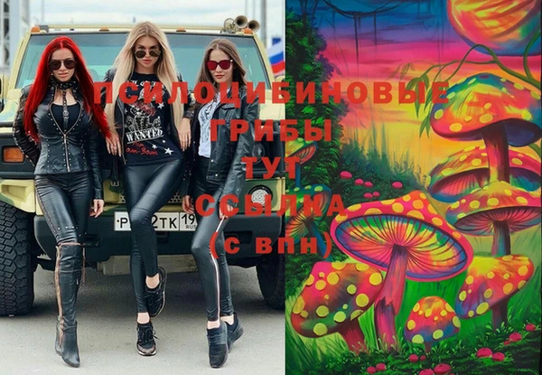 крисы Балабаново