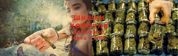 кокс Белокуриха