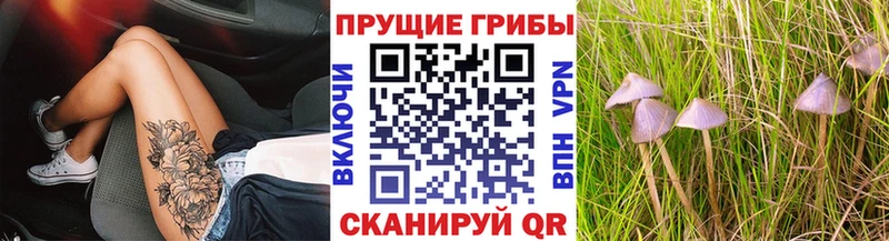 Галлюциногенные грибы мицелий Буинск