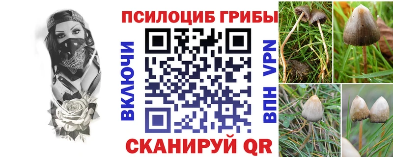 Галлюциногенные грибы Cubensis  Буинск 